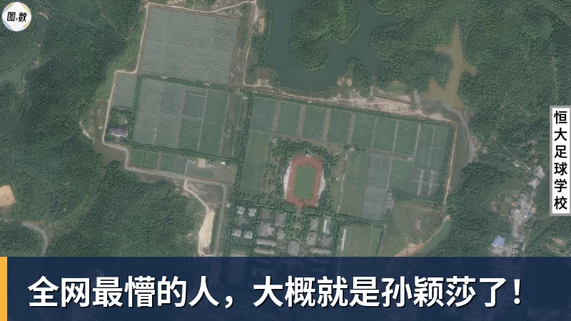 九游体育全网最懵的人，大概就是孙颖莎了！